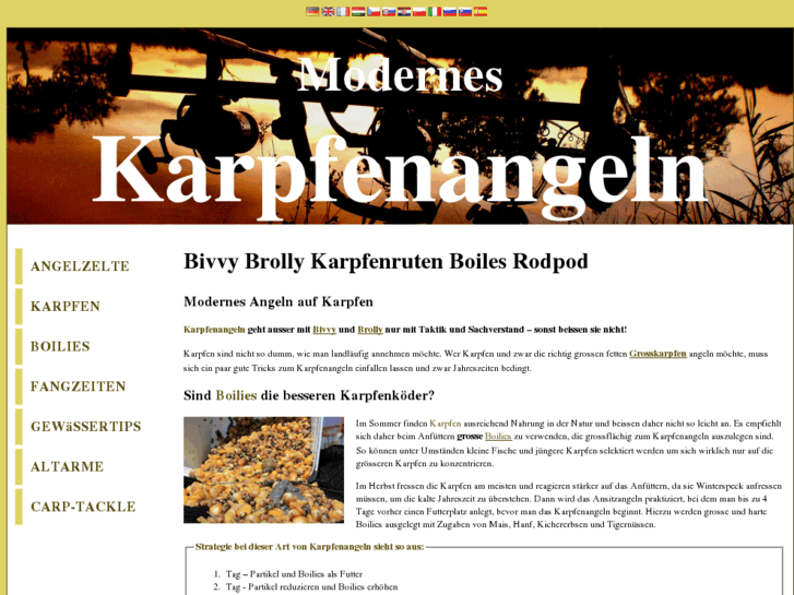 www.modernes-karpfenangeln.de