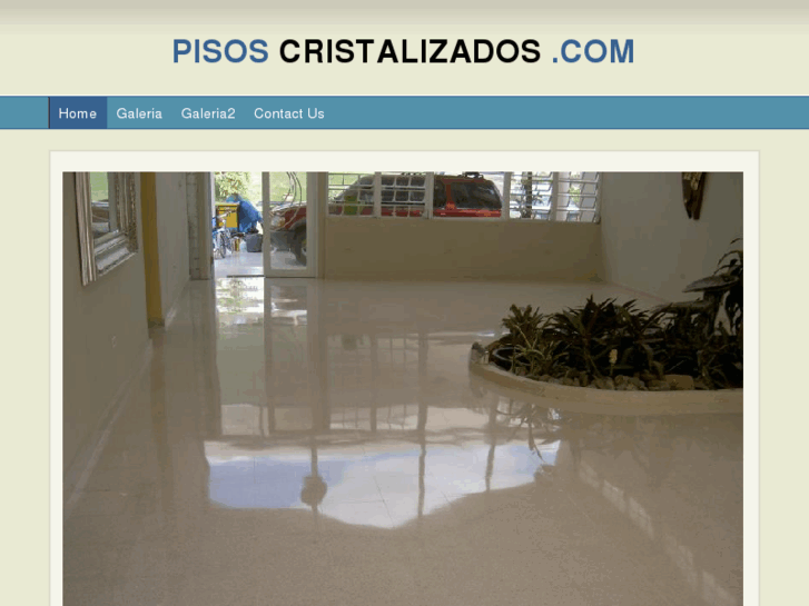 www.pisoscristalizado.com