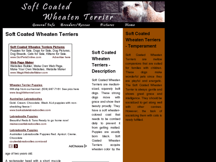 www.soft-coated-wheaten-terrier-dogs.com