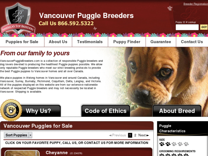 www.vancouverpugglebreeders.com