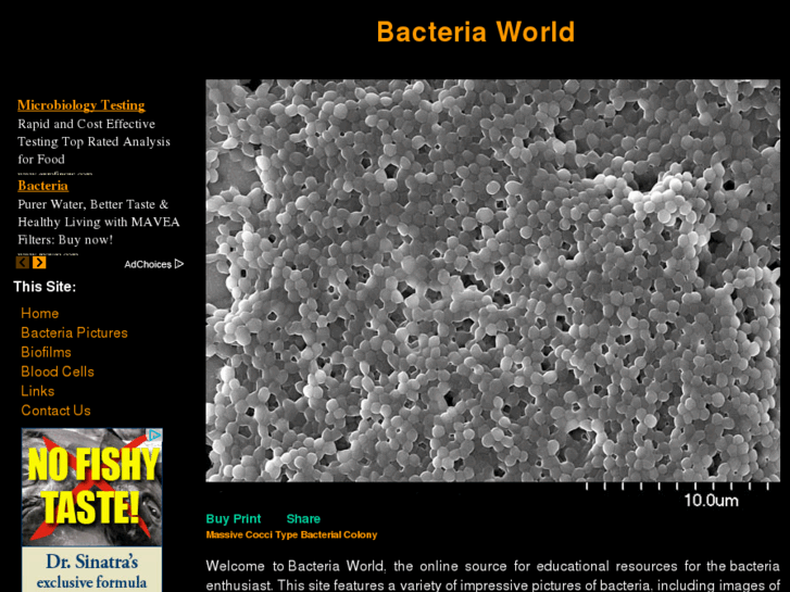 www.bacteria-world.com