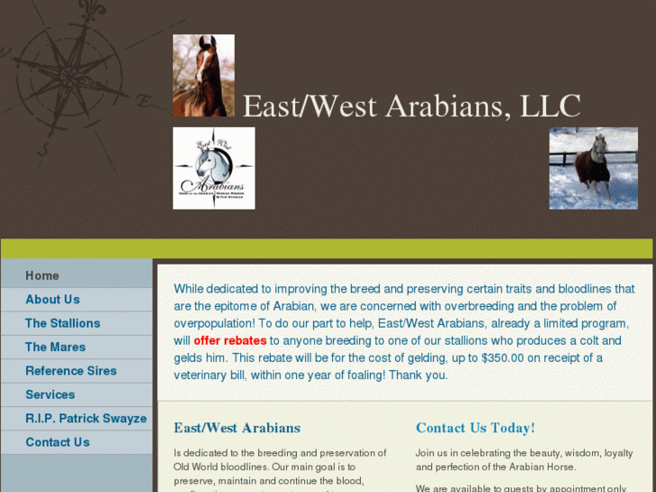 www.eastwestarabians.com