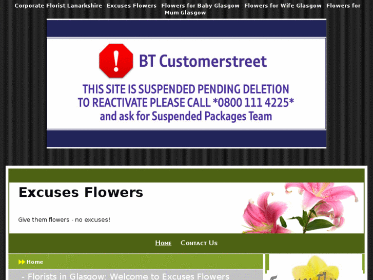 www.excusesflowers.com