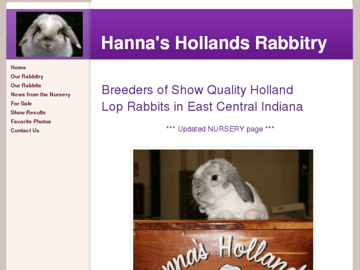 www.hannashollands.com