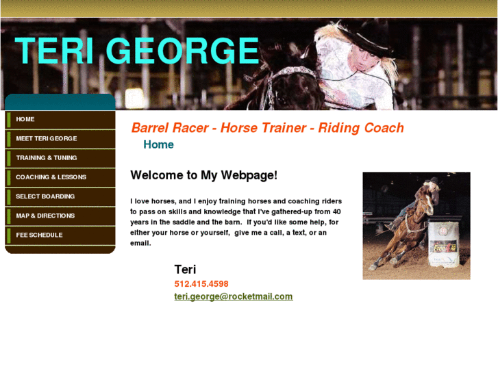 www.terigeorge.com