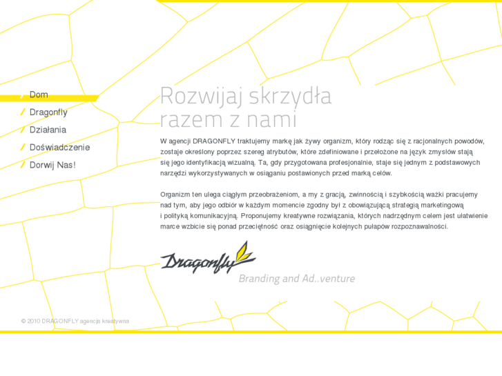 www.dfly.pl