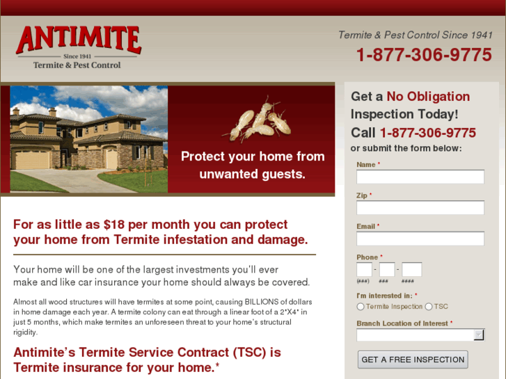 www.hireantimite.com