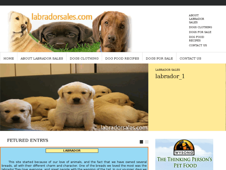 www.labradorsales.com