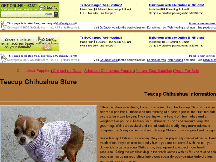 www.teacupchihuahuasstore.com