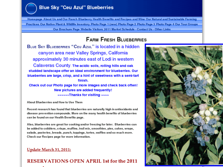 www.blueskyblueberries.com