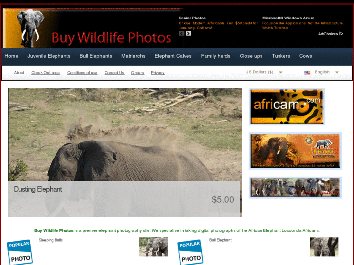 www.buywildlifephotos.com