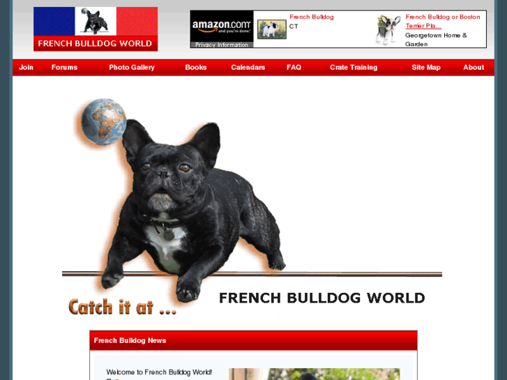 www.frenchbulldogworld.com