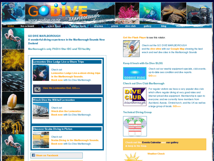 www.godive.co.nz