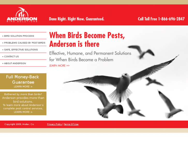 www.andersonbirdsolutions.com