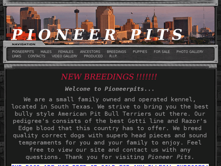 www.pioneerpits.com