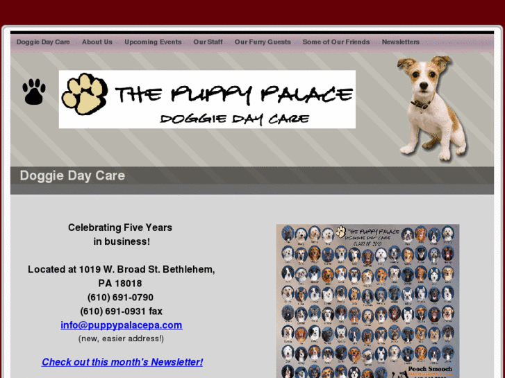 www.puppypalacepa.com