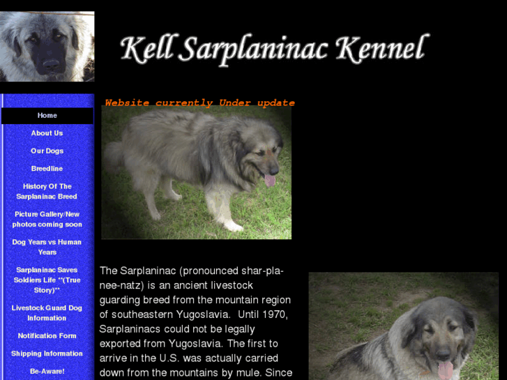 www.sarplan.com