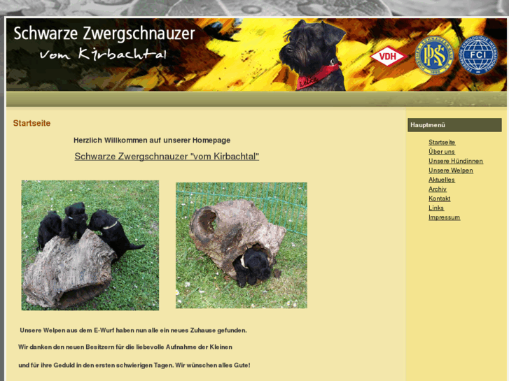 www.zwergschnauzer-schwarz.info