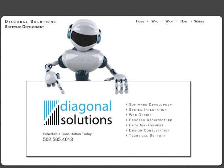 www.diagonalsolutions.com