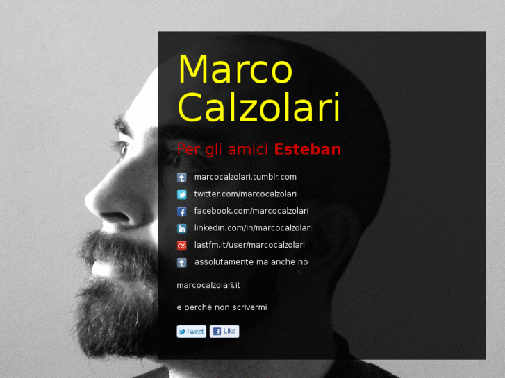 www.marcocalzolari.com