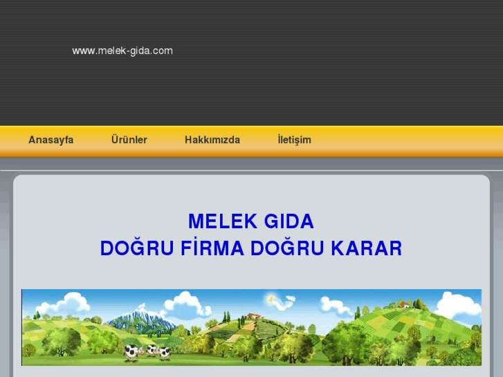 www.melek-gida.com