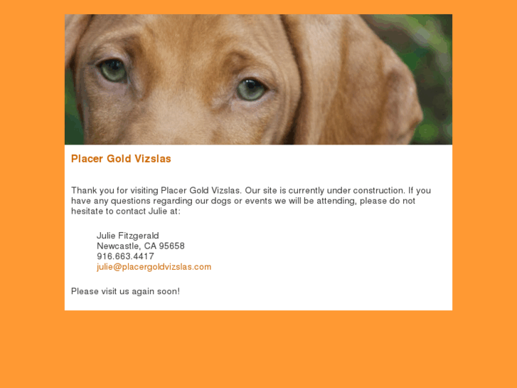 www.placergoldvizslas.com