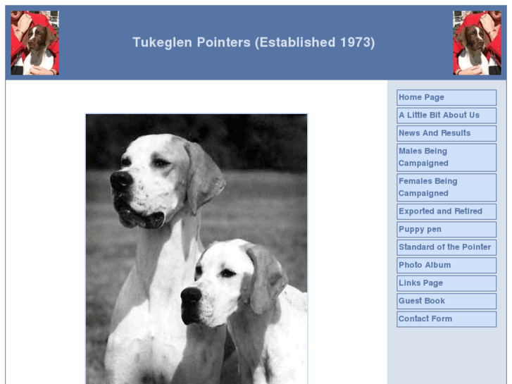 www.tukeglenpointers.com