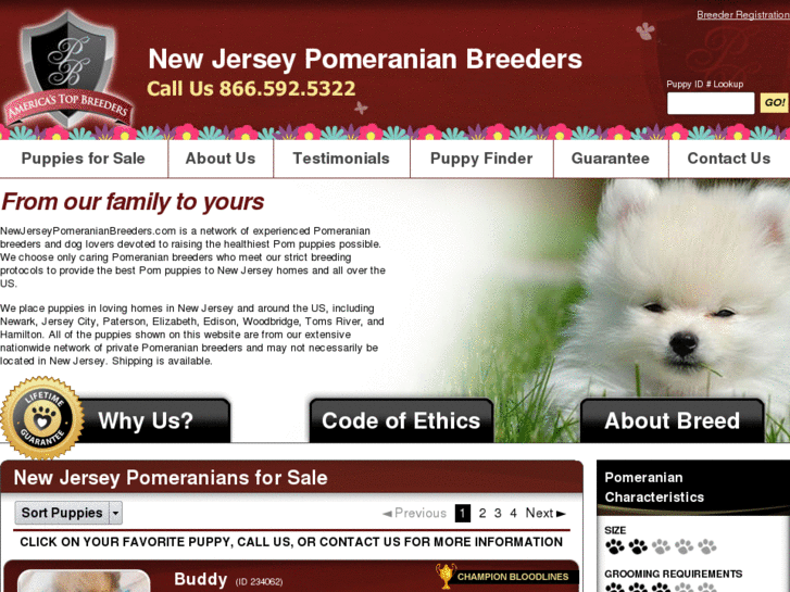 www.newjerseypomeranianbreeders.com