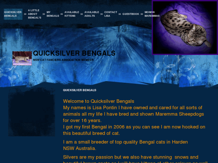 www.quicksilverbengals.com