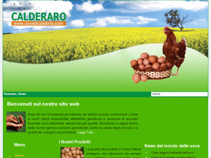 www.uovadicalabria.com