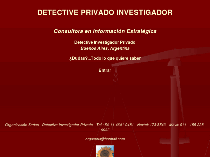 www.detectiveinvestigador.com