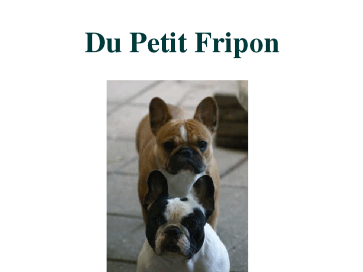 www.dupetitfripon.net