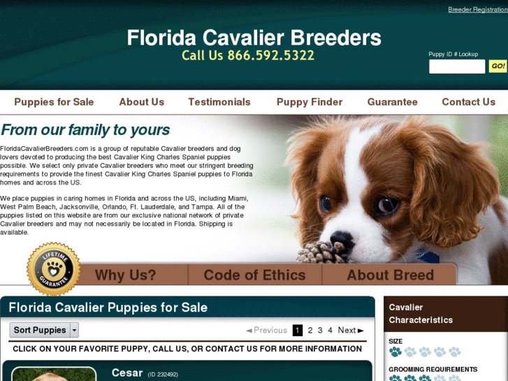 www.floridacavalierbreeders.com