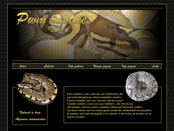 www.pwm-reptiles.com