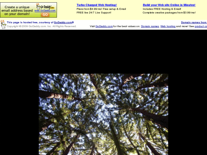 www.rootsofthetree.org