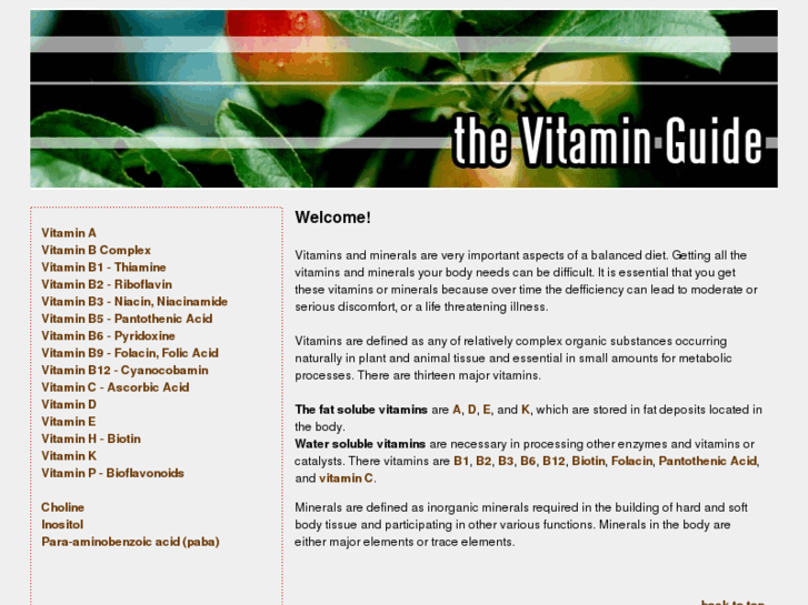 www.vitamins-guide.net