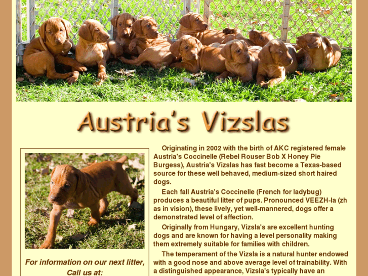 www.austriasvizslas.com