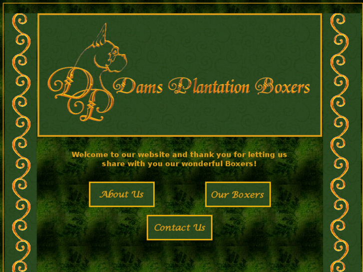 www.damsplantationboxers.com