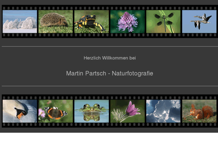 www.martin-partsch.de