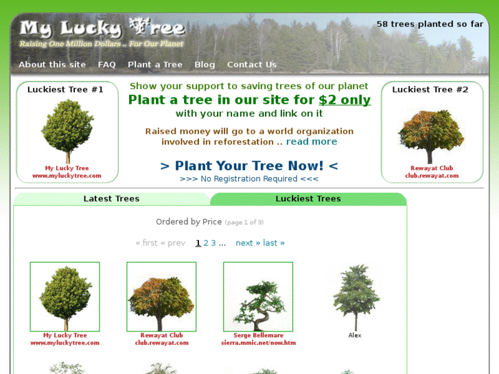 www.myluckytree.com