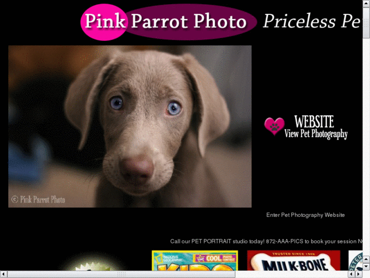 www.napervillepetphotography.com