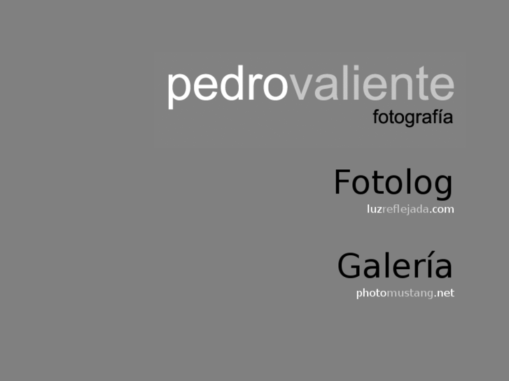 www.pedrovaliente.es