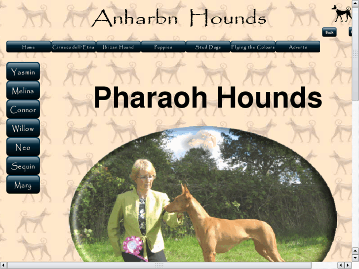 www.pharaohhound.co.uk