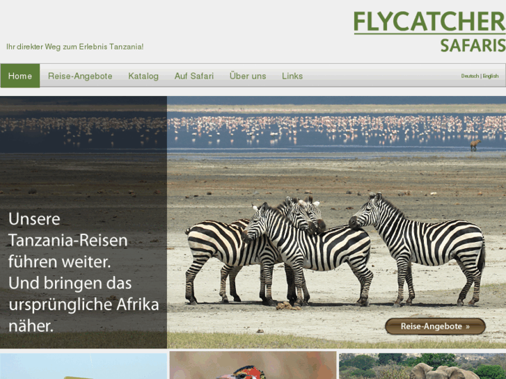 www.flycat.com