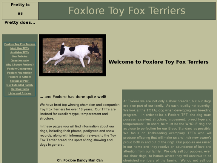 www.foxloretoyfoxterriers.com