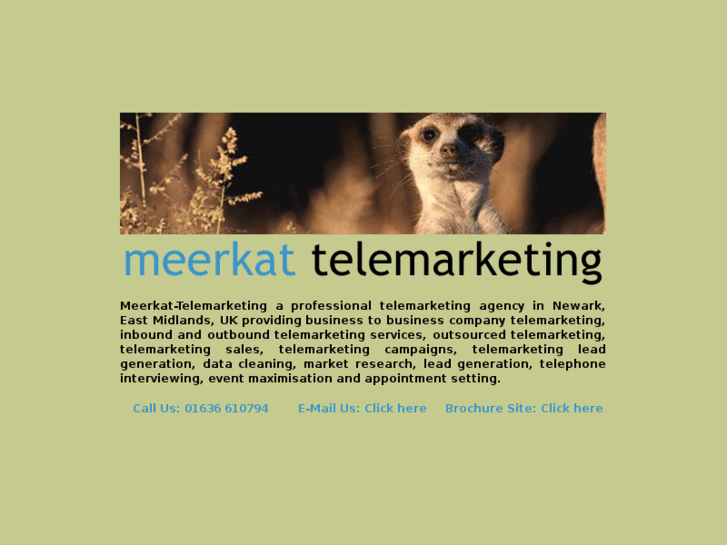 www.meerkat-telemarketing.com