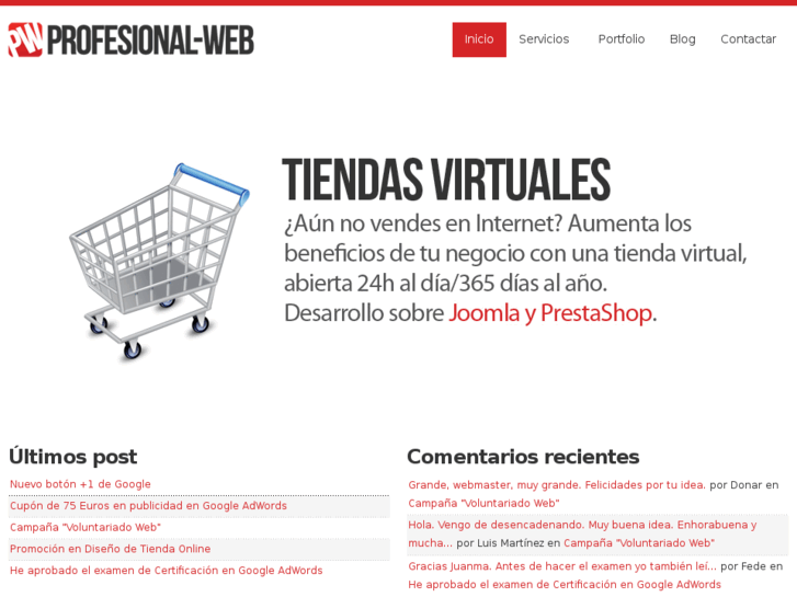 www.profesional-web.es