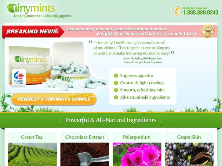 www.tinymints.com