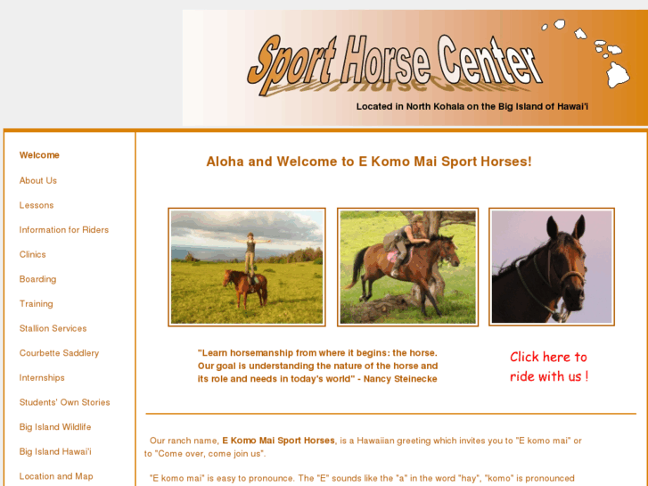 www.ekomomaisporthorses.com