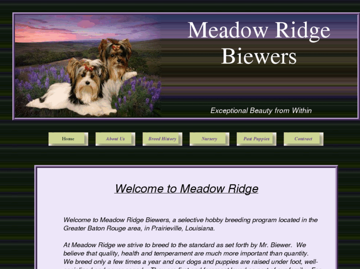 www.meadowridgebiewers.com